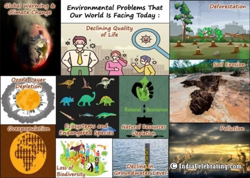2. The Environmental Concerns: A Thorny Issue